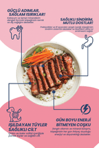 Kuzu Eti ve Pirinçli Yetişkin Köpek Maması