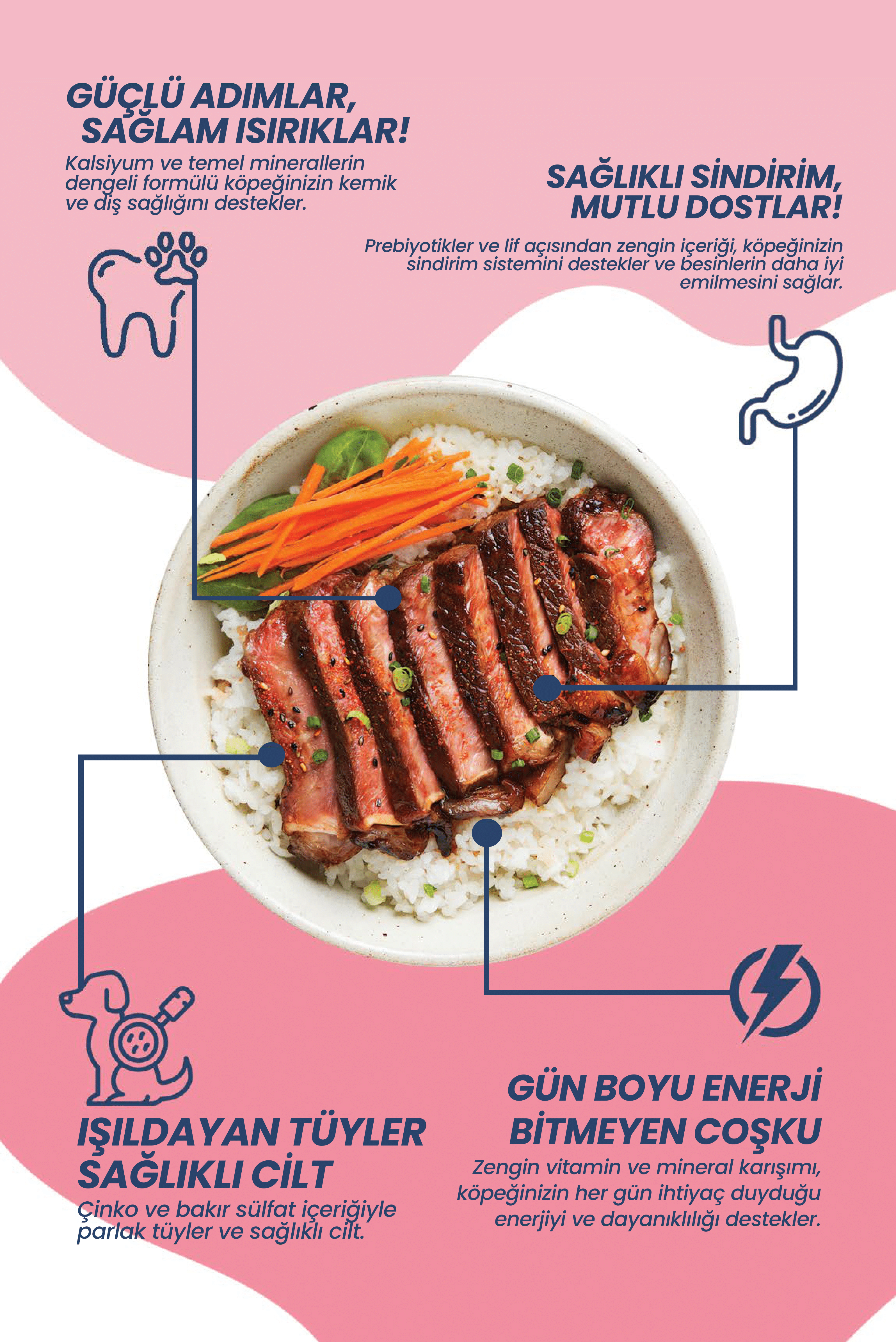 Kuzu Eti ve Pirinçli Yetişkin Köpek Maması