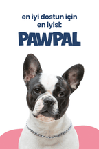 Kuzu Eti ve Pirinçli Yetişkin Köpek Maması