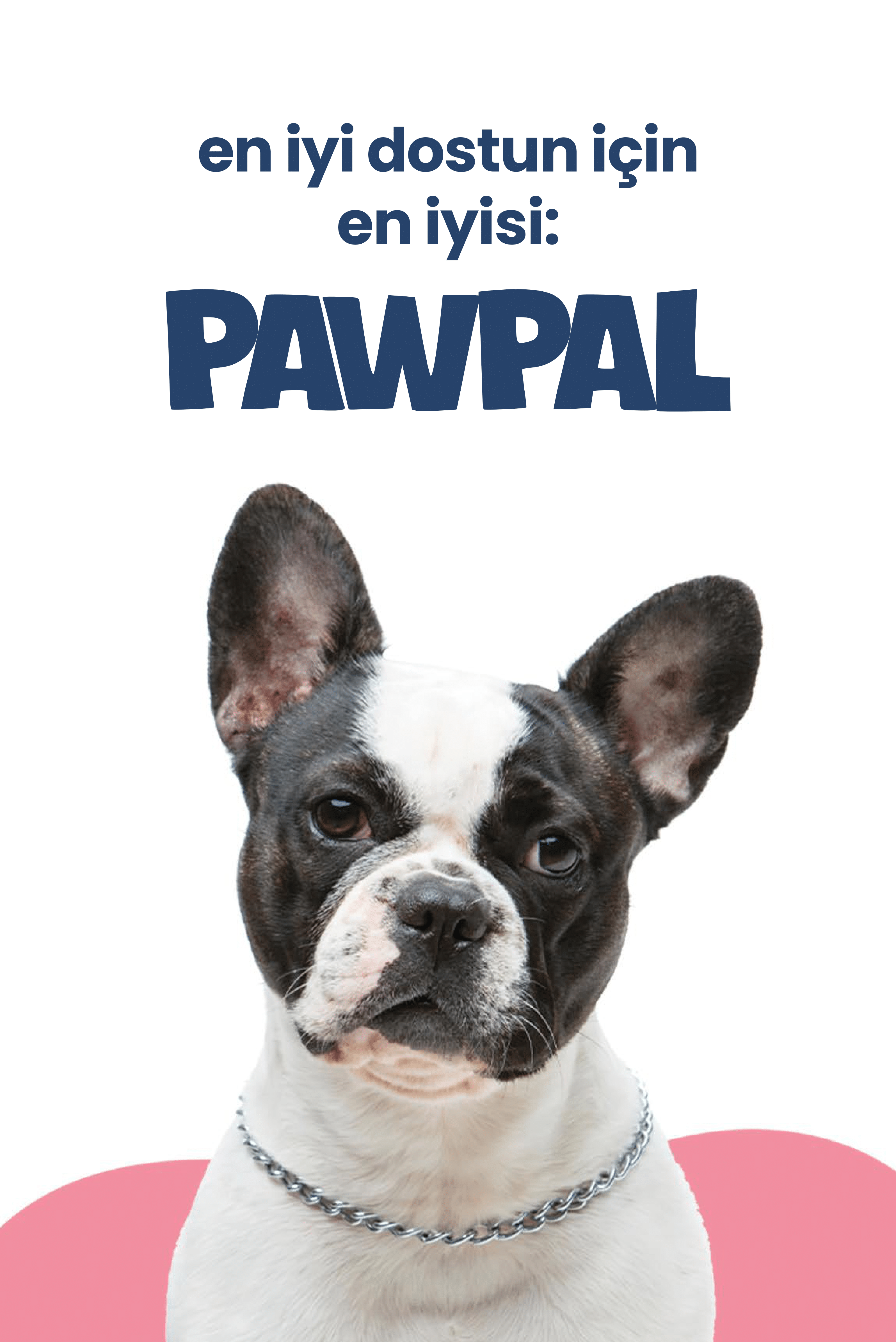 Kuzu Eti ve Pirinçli Yetişkin Köpek Maması