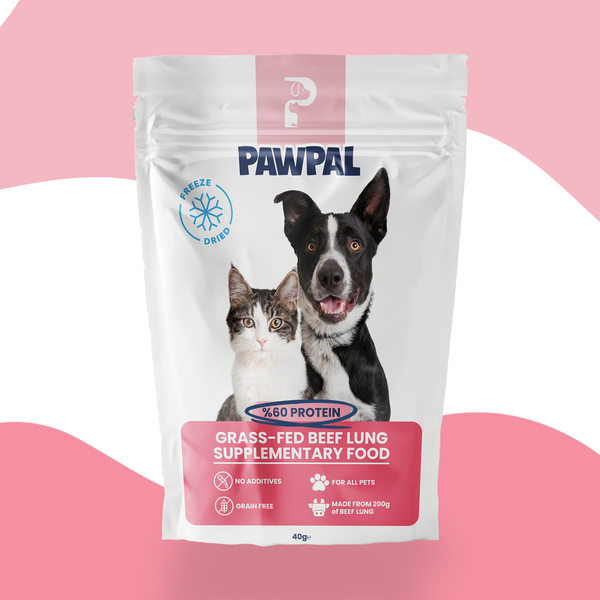 Freeze Dried Doğal Dana Ciğeri Premium %100 Doğal Atıştırmalık