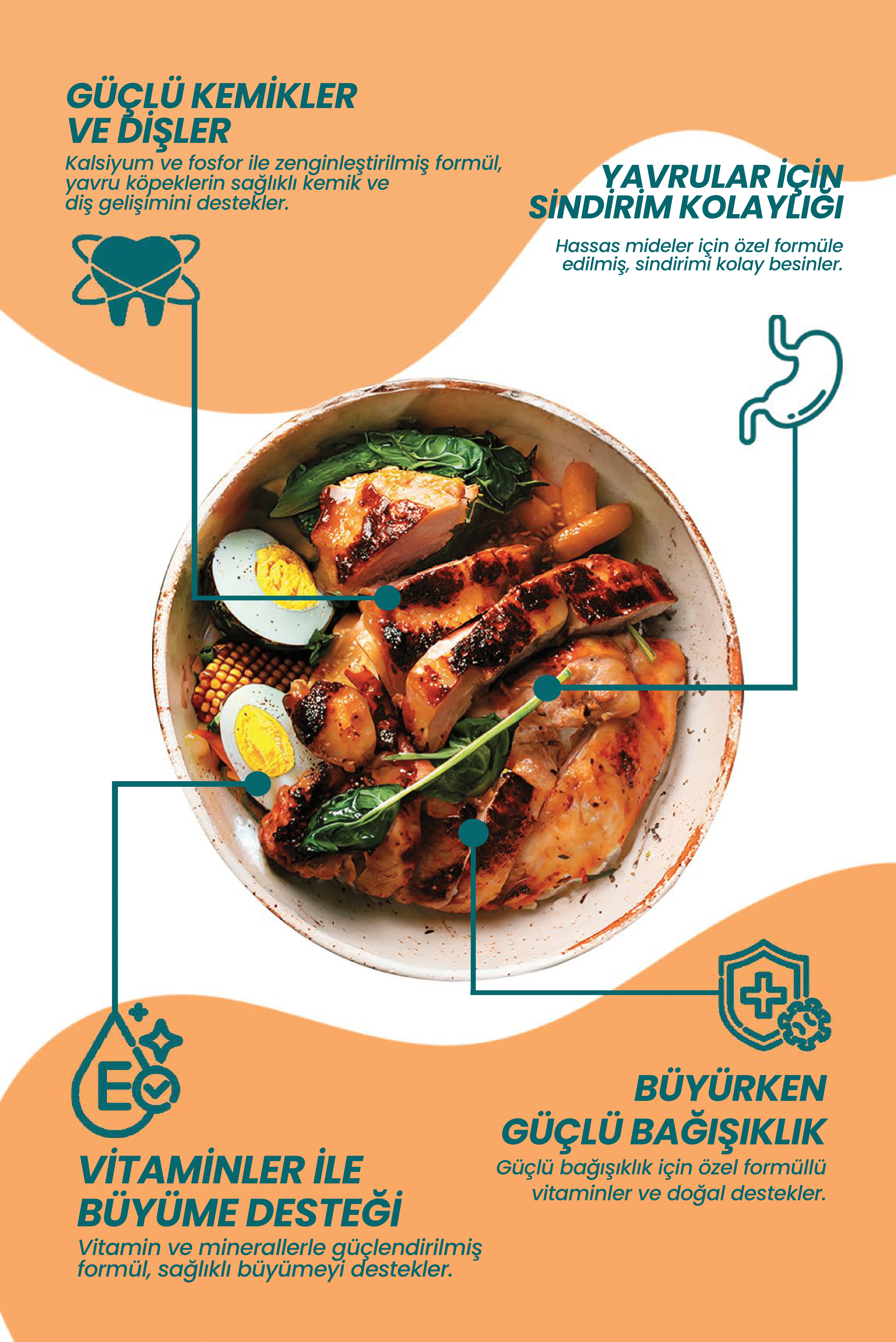 Tavuklu Yavru Kedi Maması