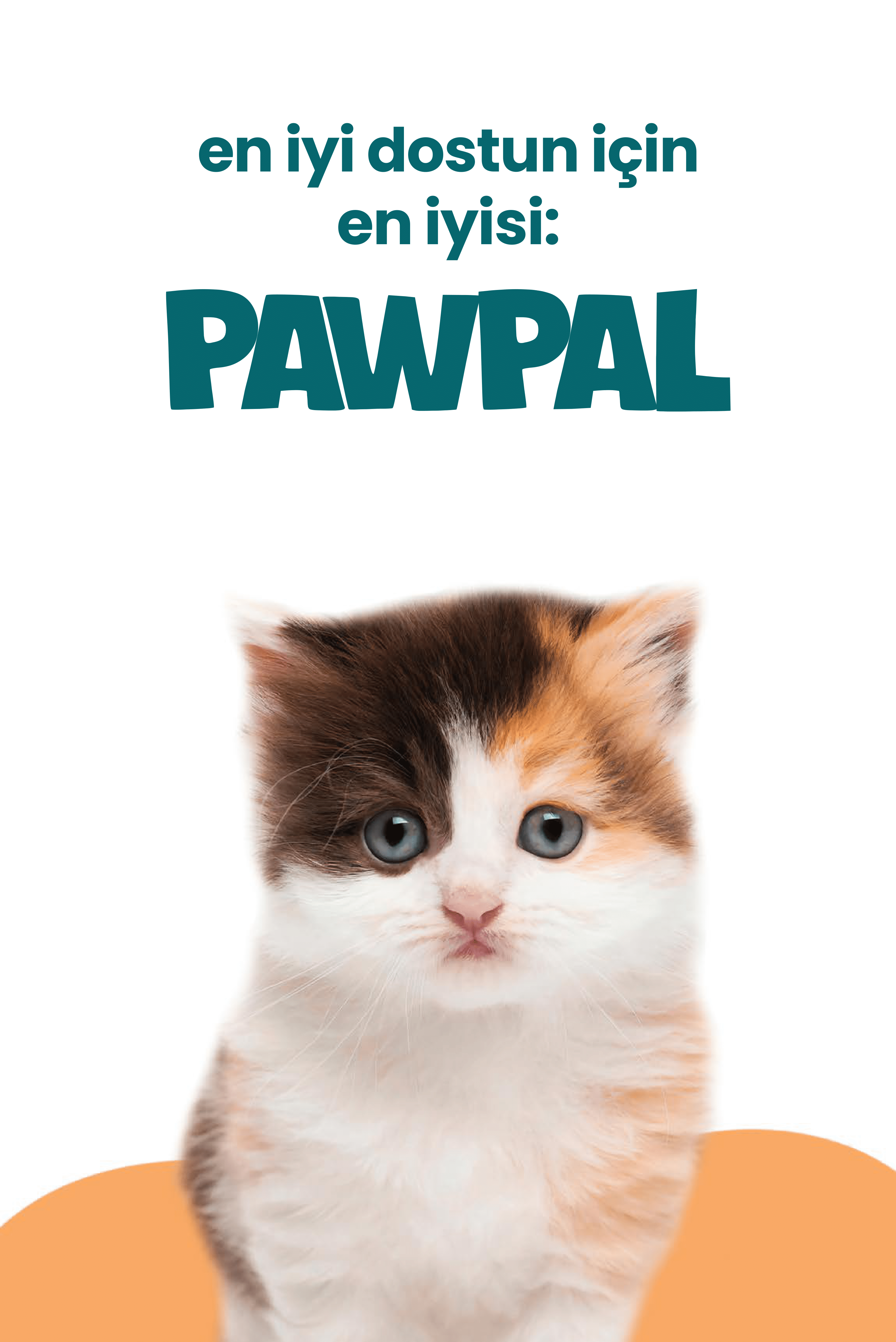 Tavuklu Yavru Kedi Maması