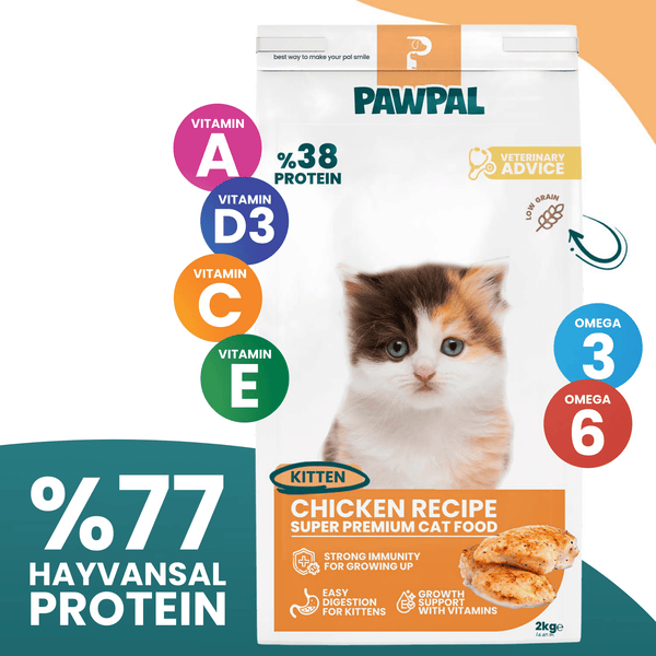 Tavuklu Yavru Kedi Maması