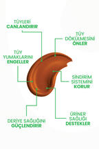 Tüy Dökülme Önleyici Kedi Maltı