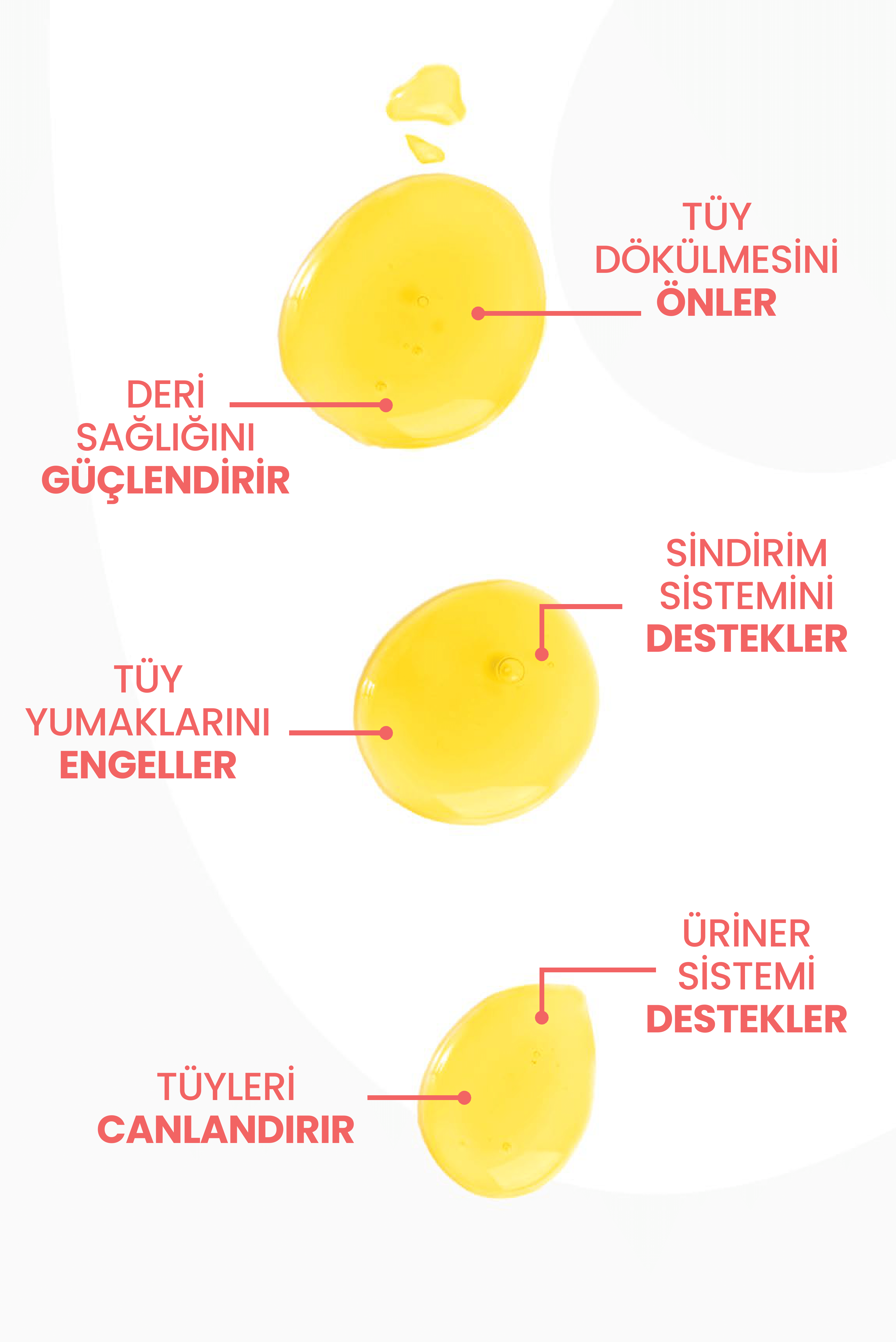 Kediler İçin Tüy Dökülme Önleyici Plus B Damla