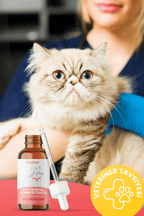 Kediler İçin Tüy Dökülme Önleyici Plus B Damla