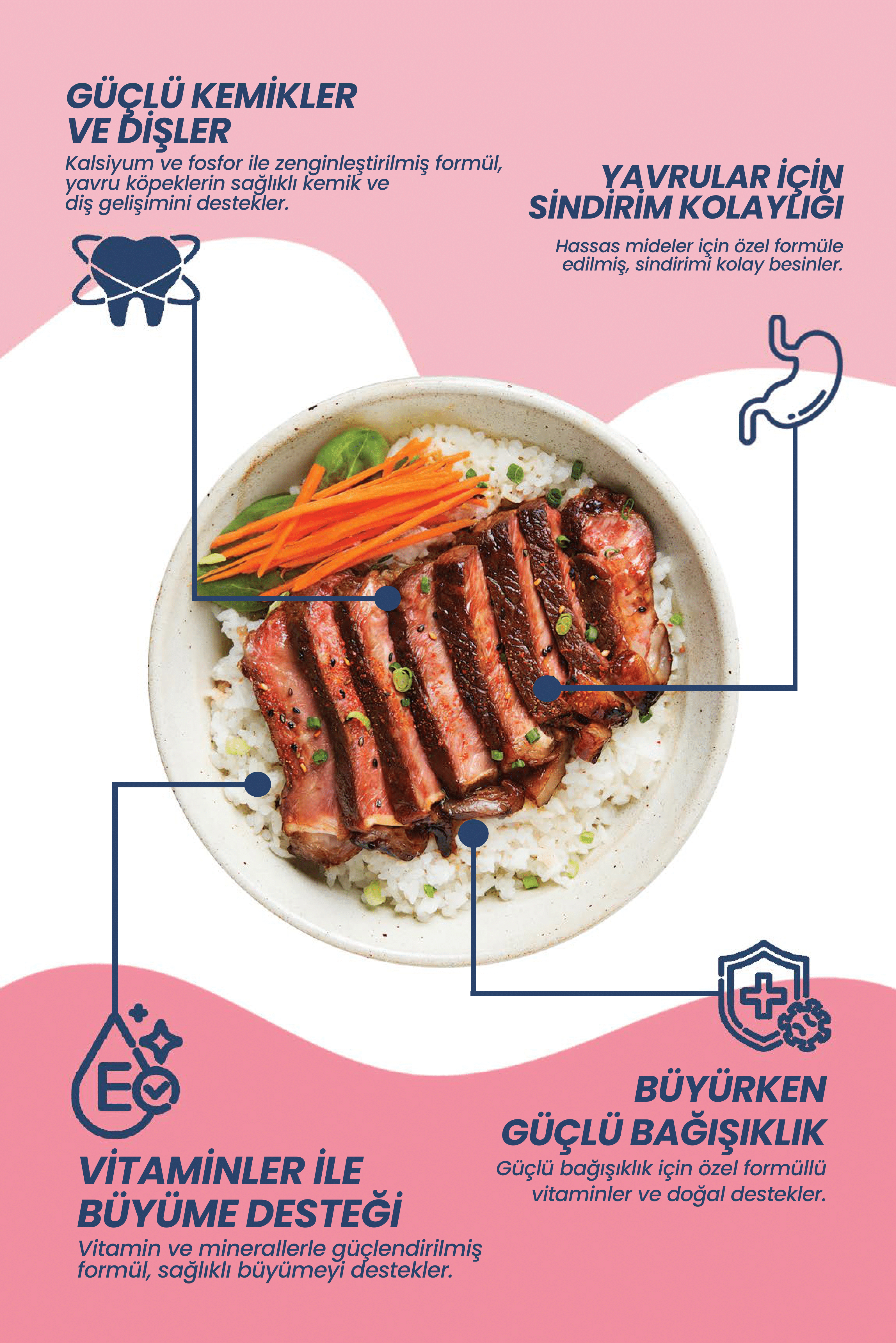 Kuzu Eti ve Pirinçli Yavru Köpek Maması