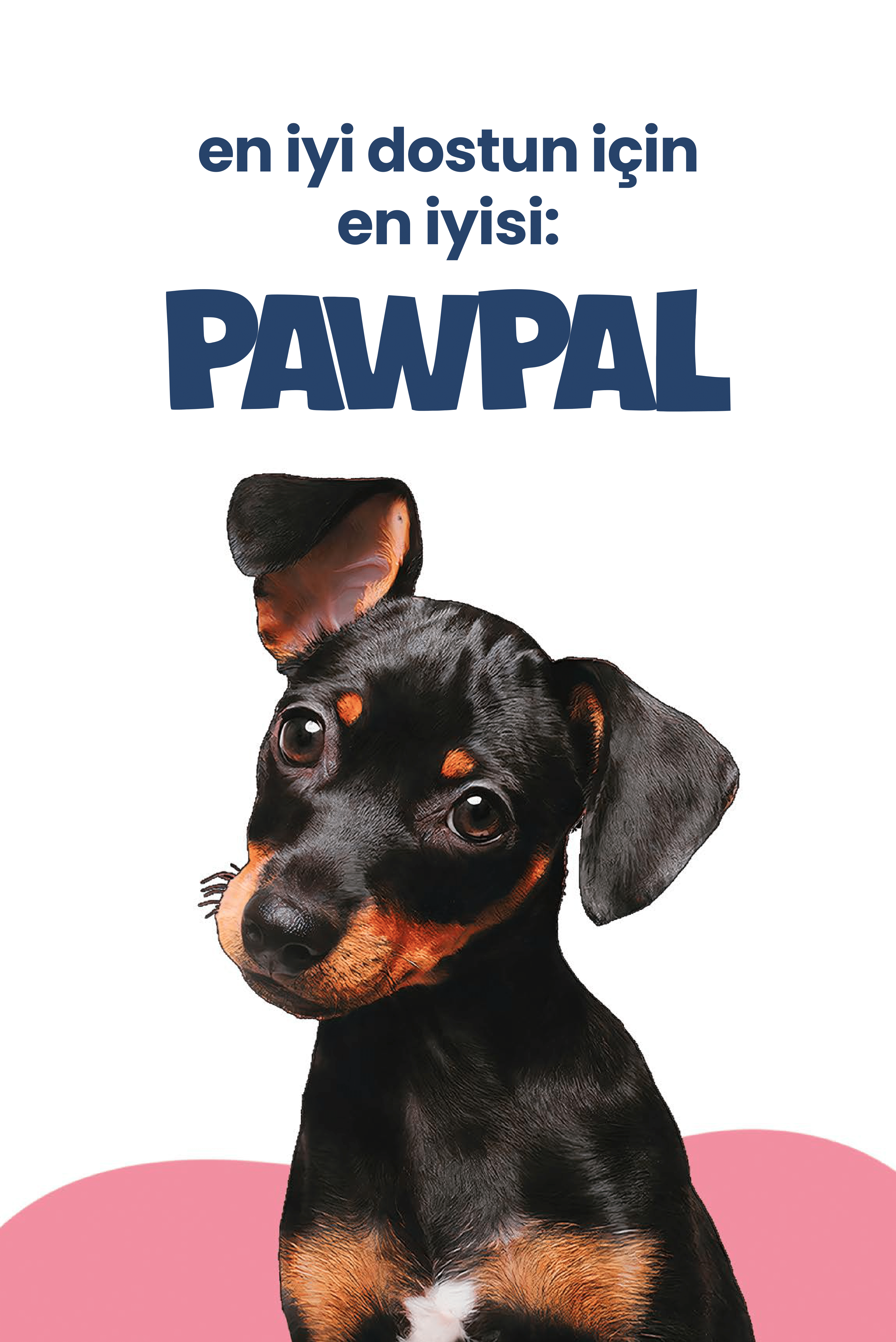 Kuzu Eti ve Pirinçli Yavru Köpek Maması