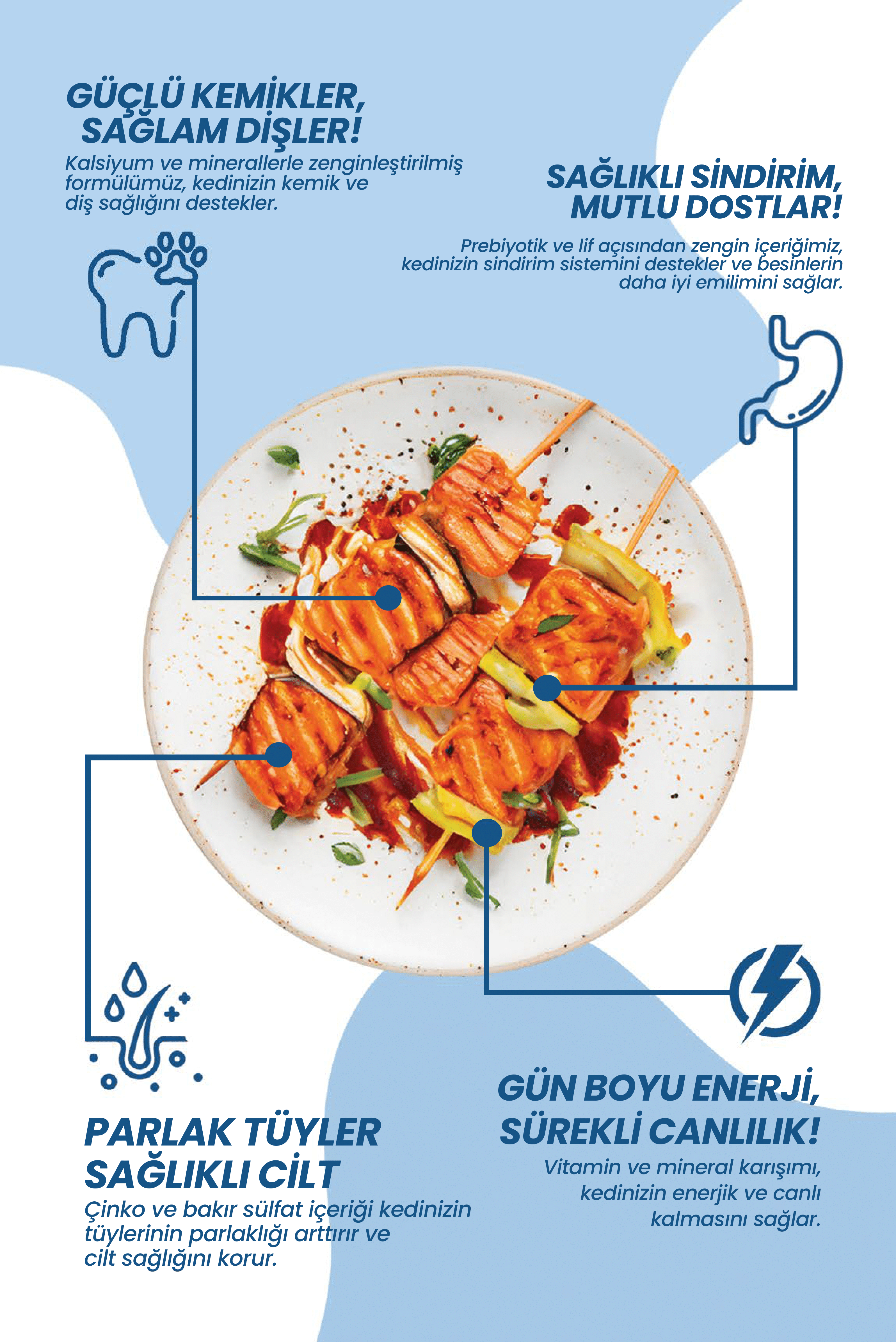 Somonlu Kısır Yetişkin Kedi Maması