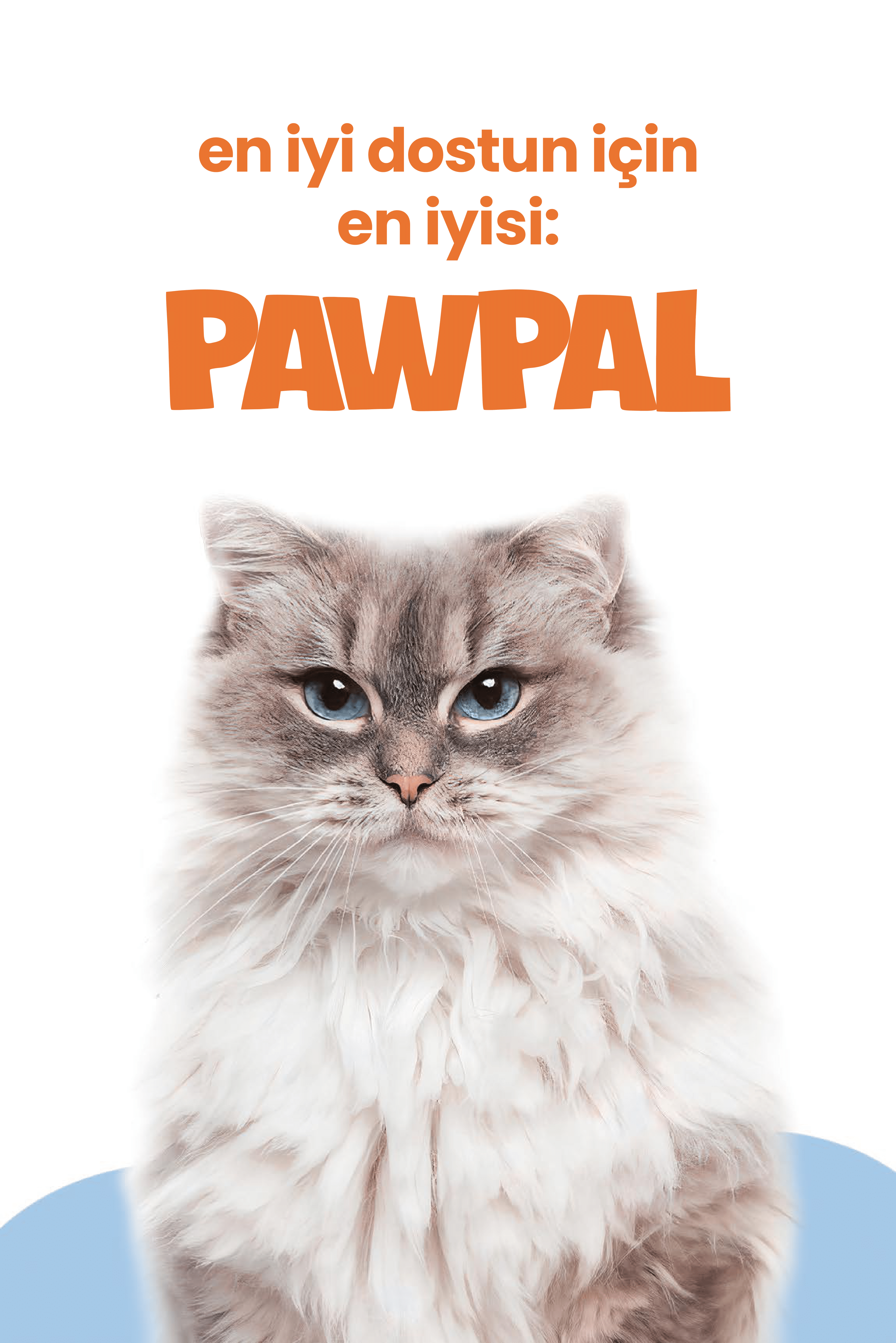 Somonlu Kısır Yetişkin Kedi Maması