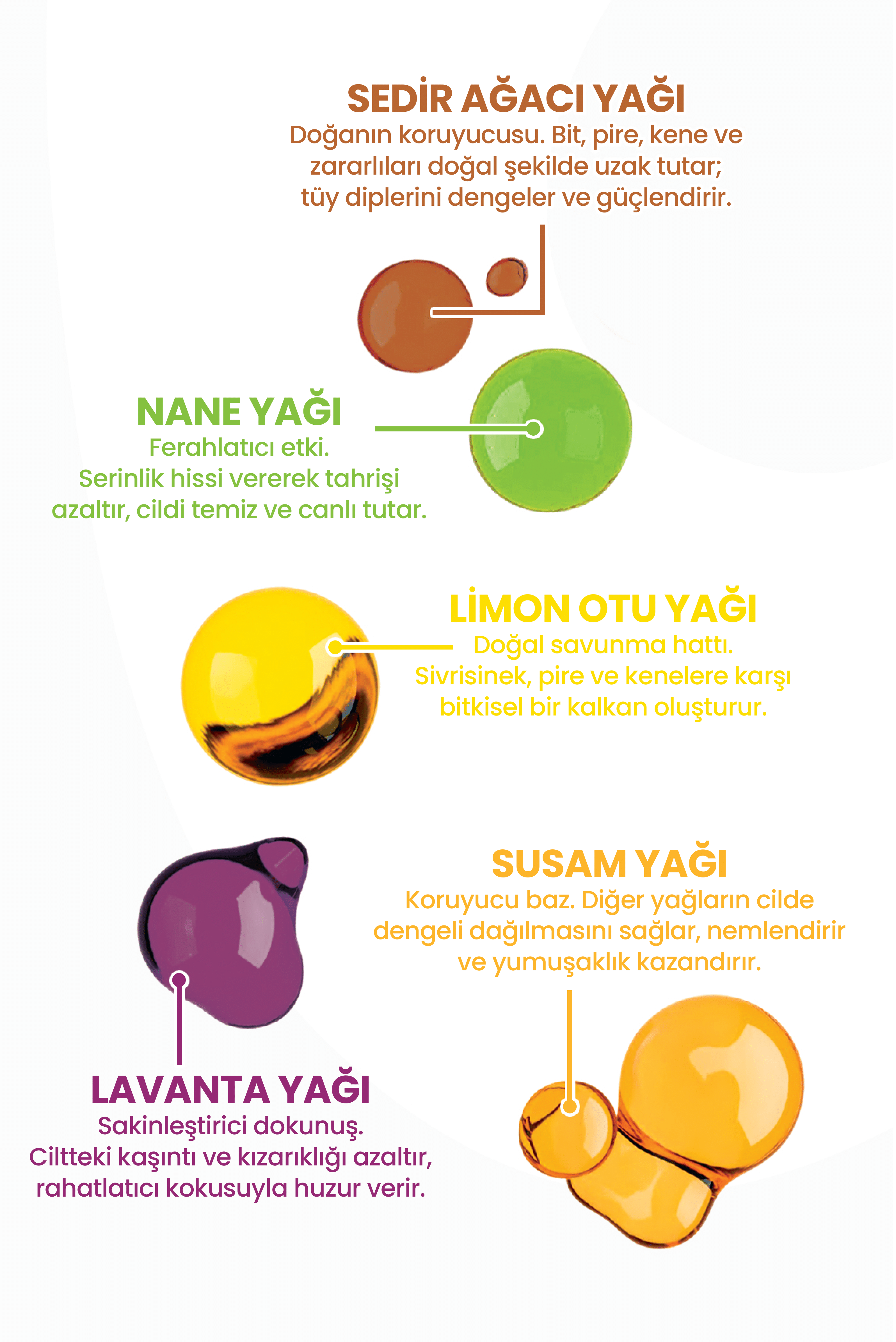 Kedi Dış Parazit Ense Damlası