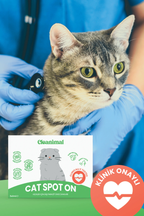 Kedi Dış Parazit Ense Damlası