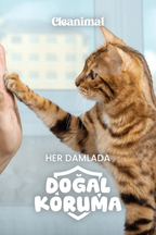 Kedi Dış Parazit Ense Damlası