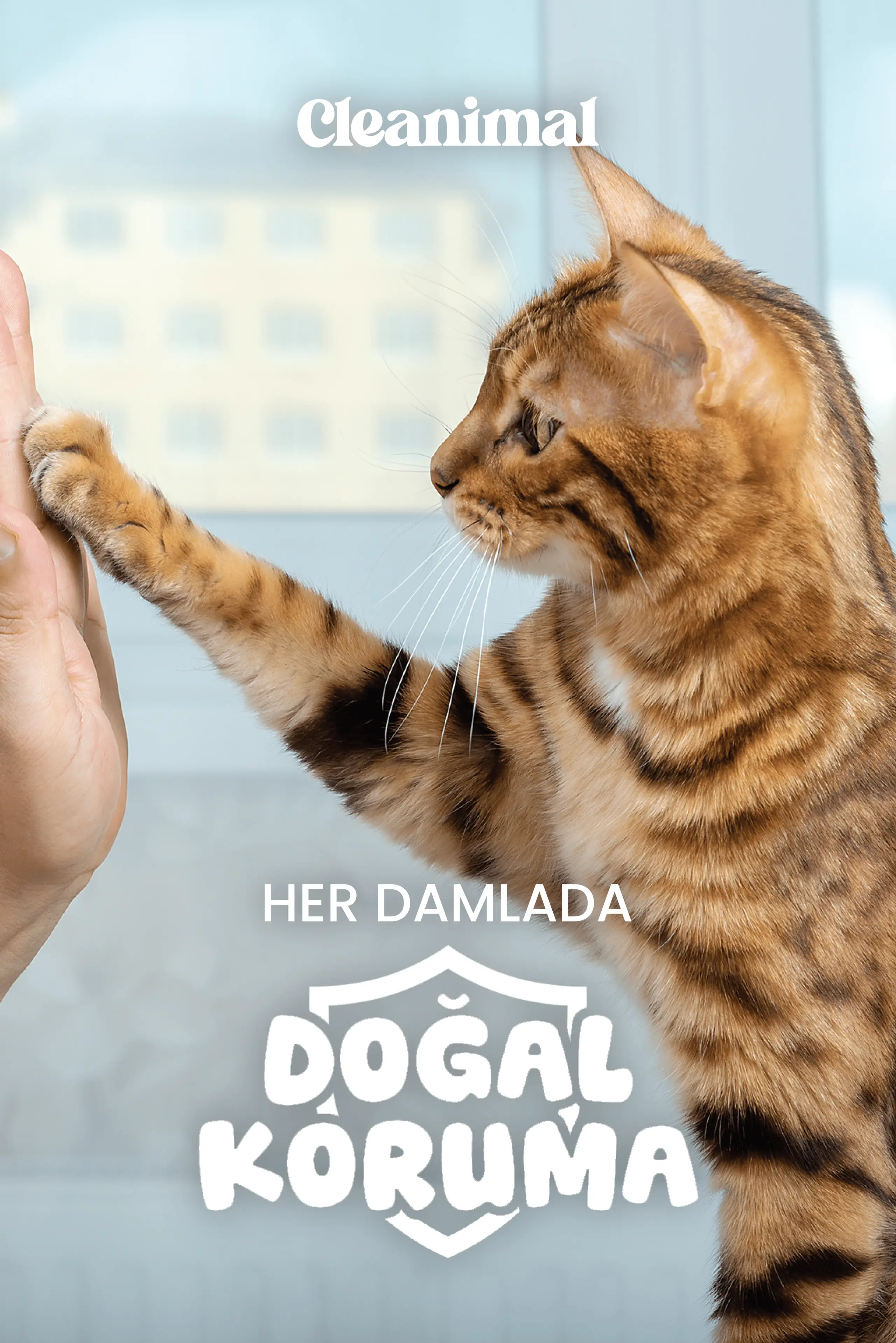 Kedi Dış Parazit Ense Damlası