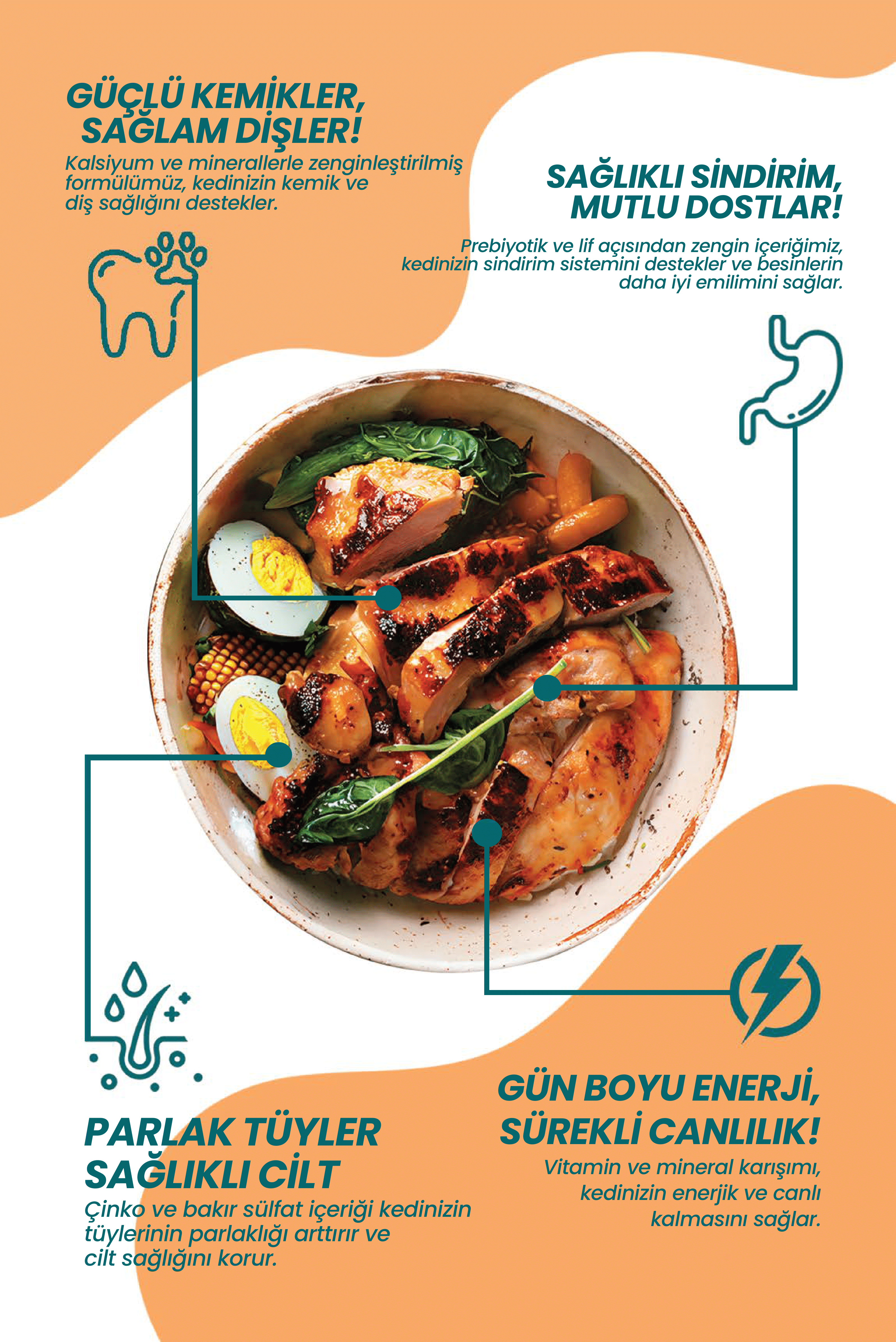 Tavuklu Kısır Yetişkin Kedi Maması