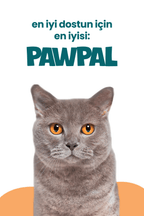 Tavuklu Kısır Yetişkin Kedi Maması